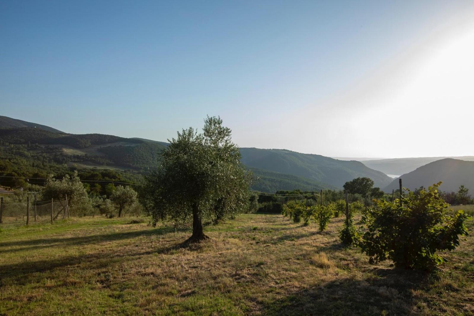 Agriturismo Podere Acqualoreto Exterior foto